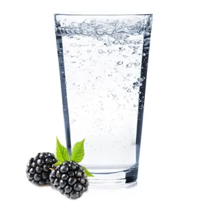 Blackberry Hard Seltzer Recipe Kit