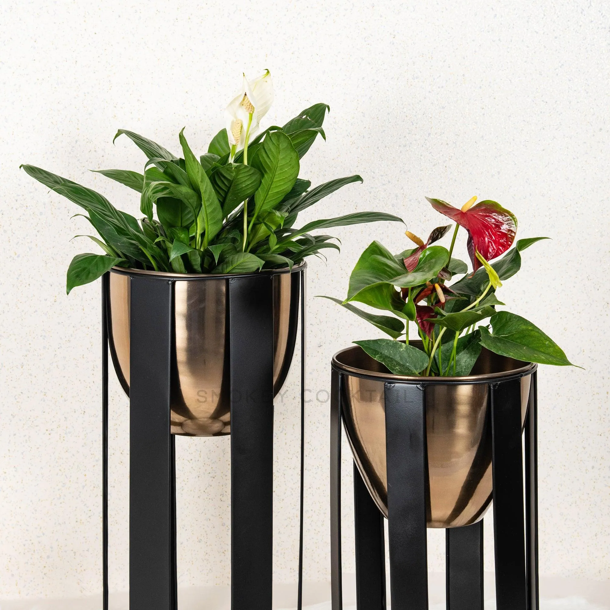 Modern Shaped Planter - Set Of 2