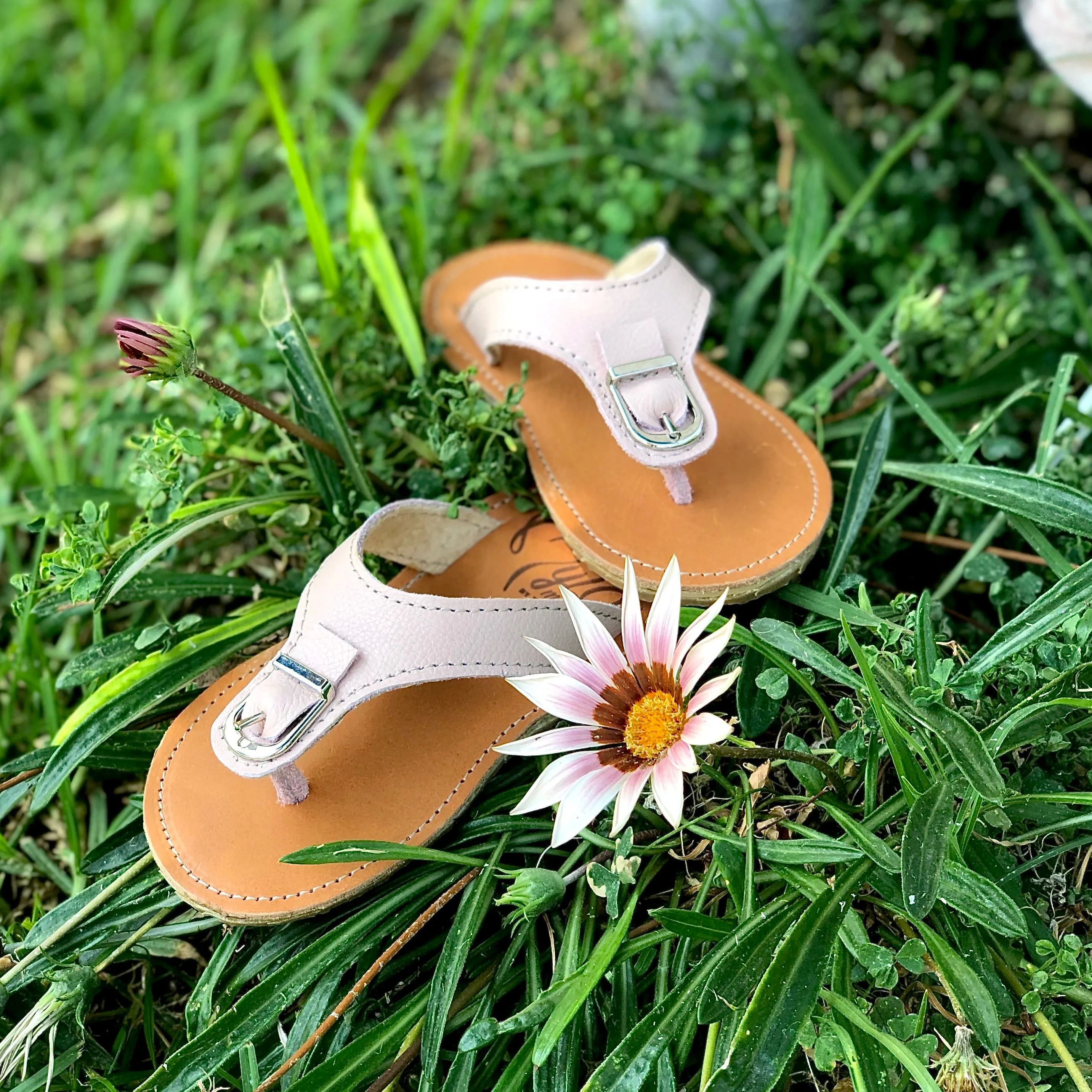 Sandra Sandal